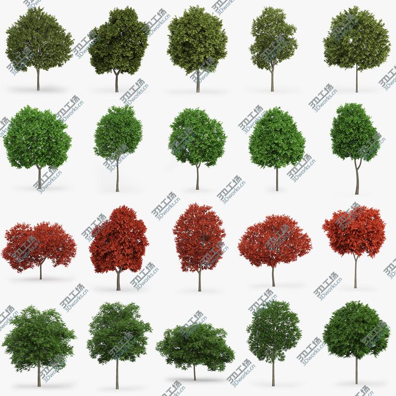 images/goods_img/202104022/Deciduous Trees Collection - 100 Trees - FBX OBJ Scanline/2.jpg